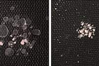 Two photos of tissue chips. The one on the left shows mini-kidneys with homozygous PKD mutations, the one on the right shows gene-corrected heterozygotes.